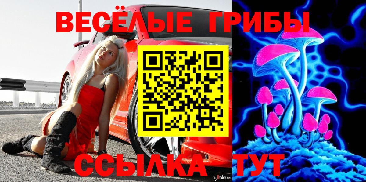 Галлюциногенные грибы Psilocybine cubensis Нерюнгри